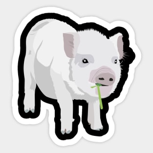 White Piglet Chewing Grass Sticker